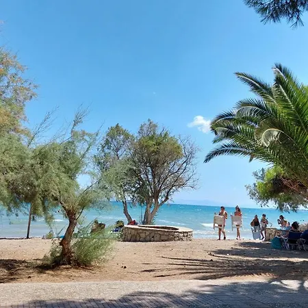 Casa de Férias Nadina's House *