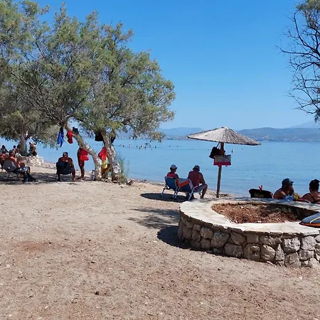 Nadina's House Dhilesi